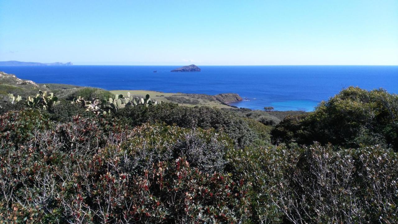 B&B Glamping Semaforo Capo Sperone SantʼAntìoco Εξωτερικό φωτογραφία