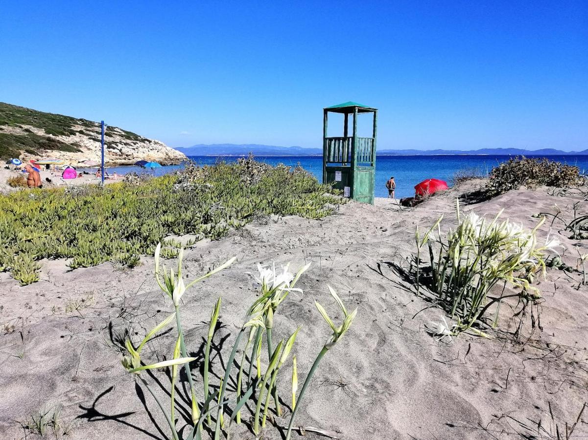 B&B Glamping Semaforo Capo Sperone SantʼAntìoco Εξωτερικό φωτογραφία