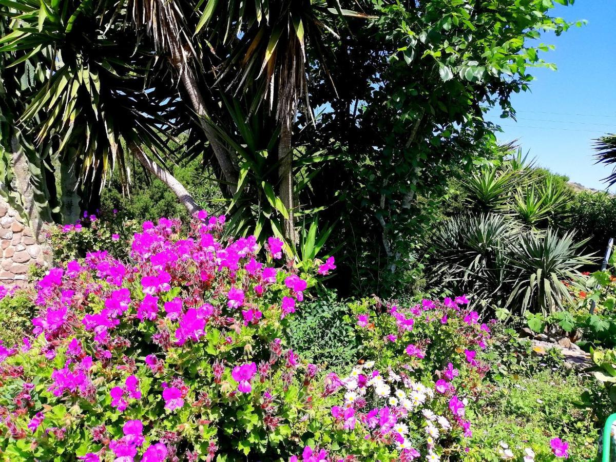 B&B Glamping Semaforo Capo Sperone SantʼAntìoco Εξωτερικό φωτογραφία