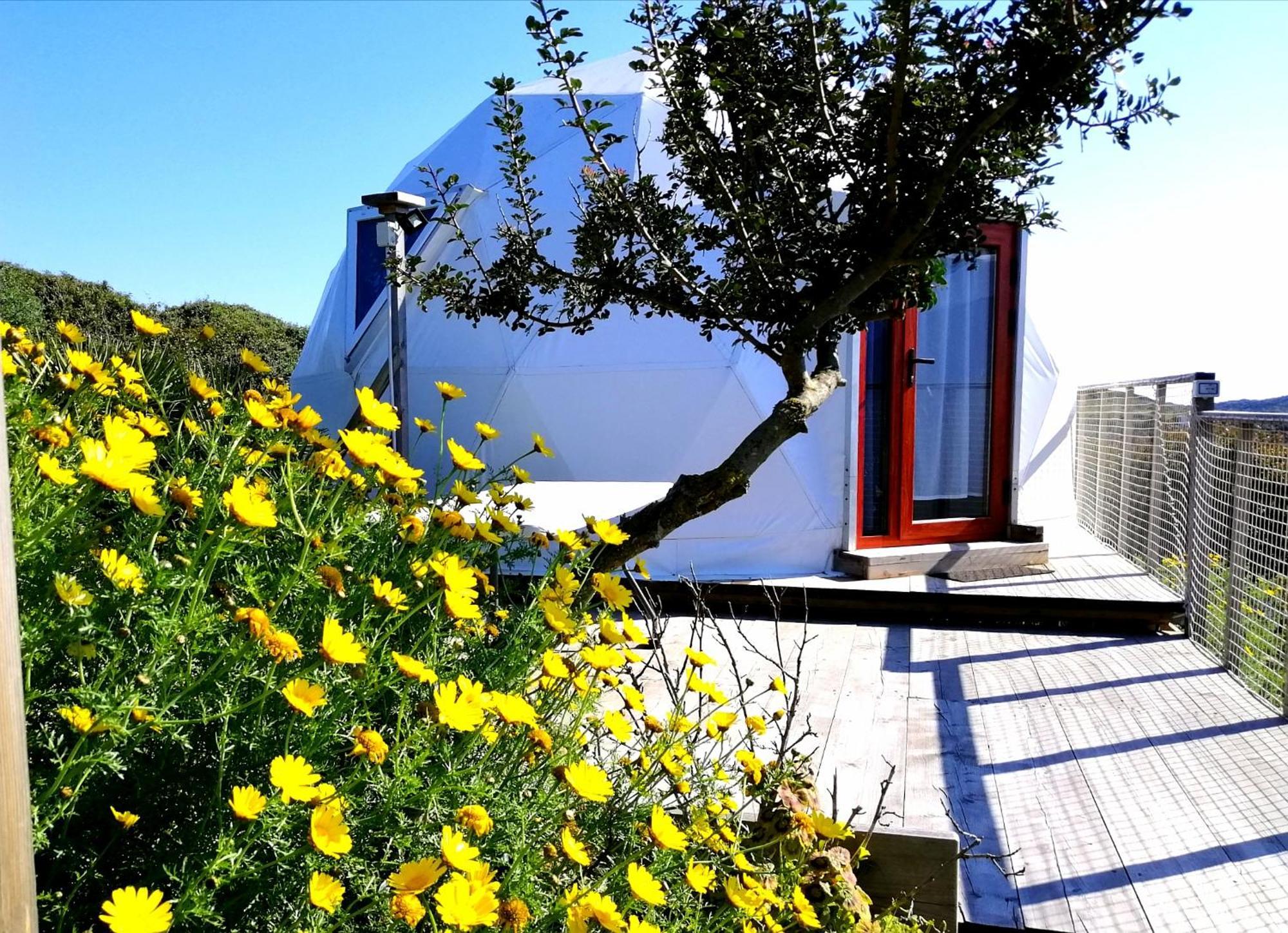 B&B Glamping Semaforo Capo Sperone SantʼAntìoco Δωμάτιο φωτογραφία